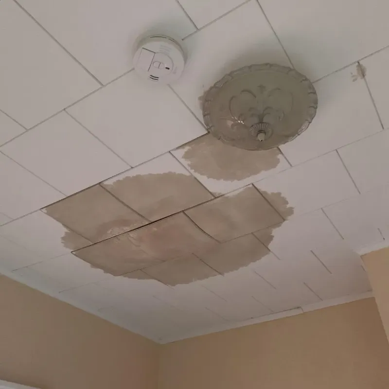 Ceiling Water Damage Repair in Yellow Springs, OH