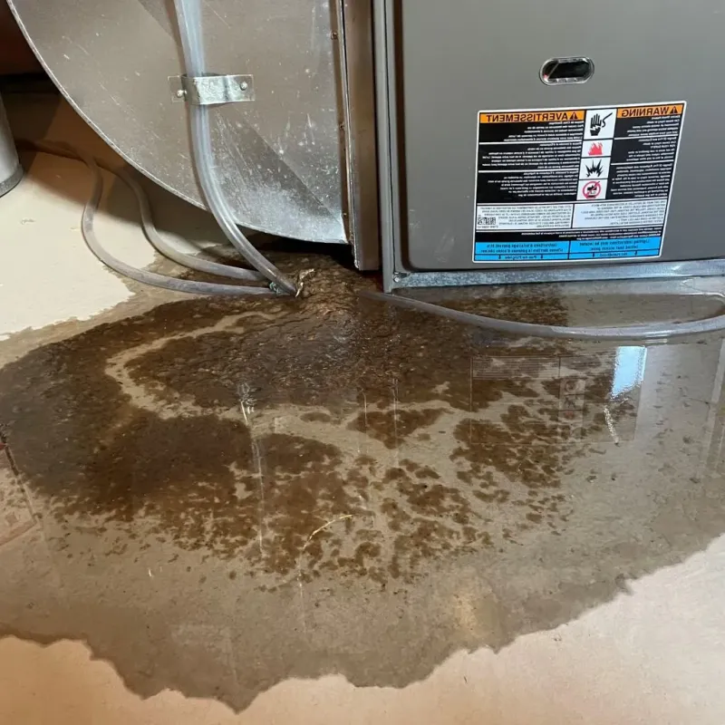 Pipe Burst and Leak Restoration in Yellow Springs, OH