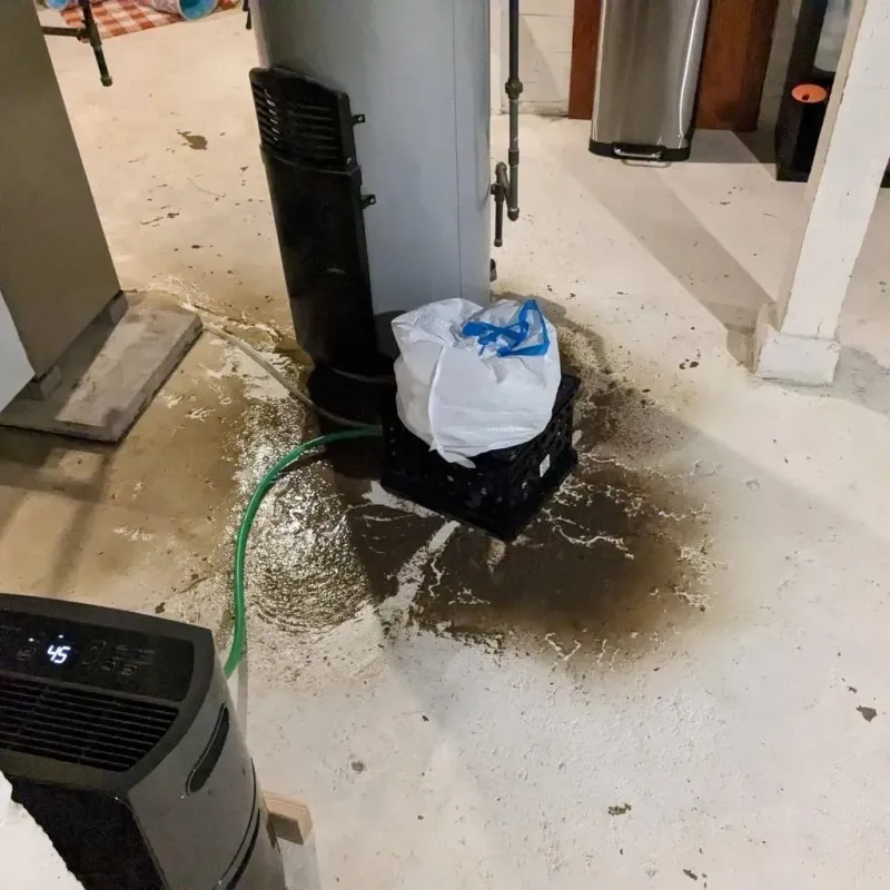 Sewage Backup Cleanup Service in Yellow Springs, OH